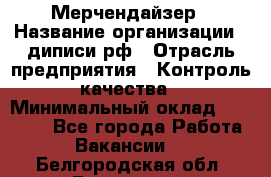 Мерчендайзер › Название организации ­ диписи.рф › Отрасль предприятия ­ Контроль качества › Минимальный оклад ­ 20 000 - Все города Работа » Вакансии   . Белгородская обл.,Белгород г.